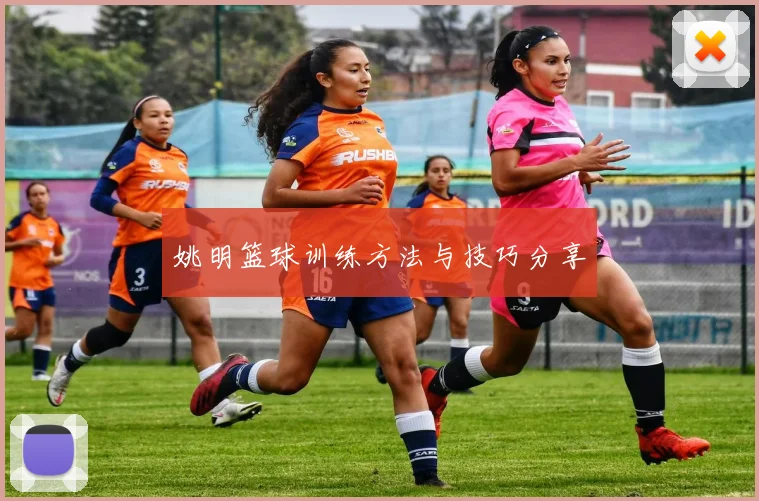 姚明篮球训练方法与技巧分享